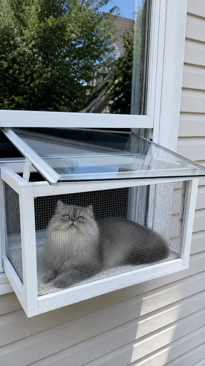 Catio - The first Cat Patio!
